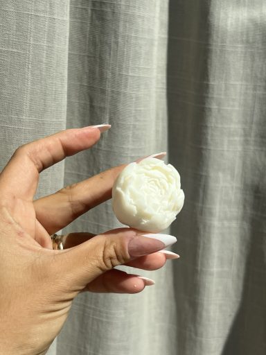 Piontulpan Piontulpan